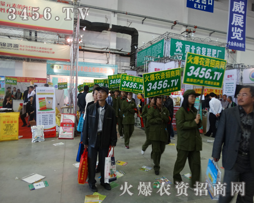 �L���N�ӕ��ϻ��r(n��ng)�Y�W(w��ng)�������F(tu��n)�����ʮ��