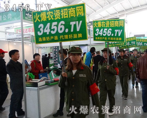 2014���ֲ���p���������҂����^ʮ��