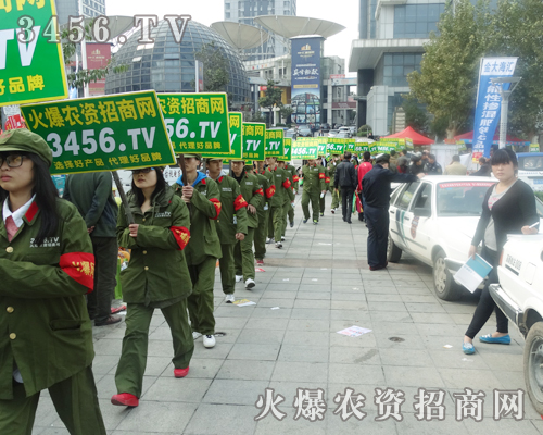 3456.TV��ɽ�|ֲ�������ŵ����