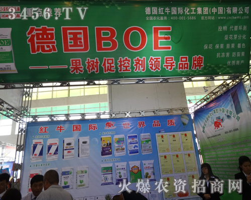 ���t���������F�́�����ף��