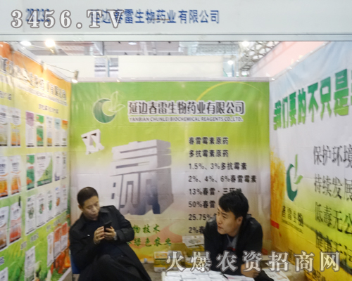 ��߅��������ˎ�I(y��)��ʢ������չ