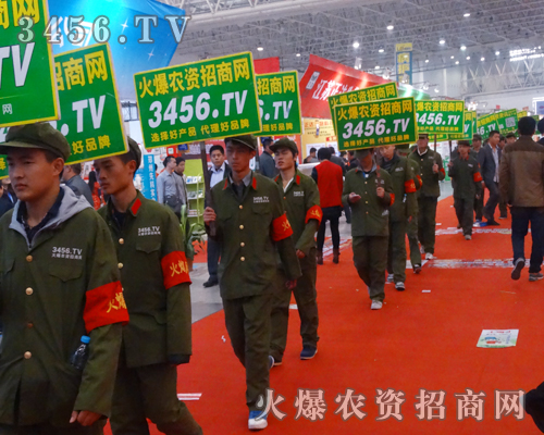 ������ �ݲ��ɓ�