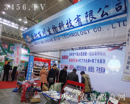 �e�O�������İٴ�����