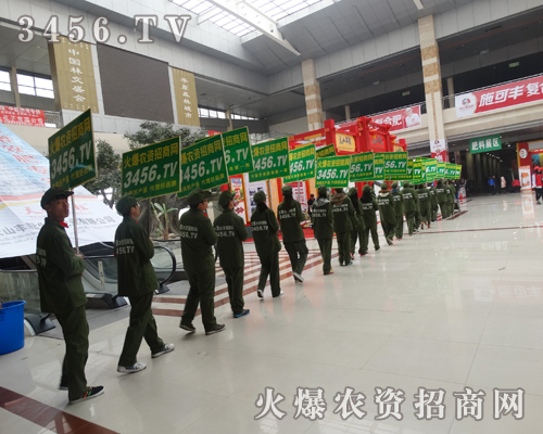 ���r(n��ng)�Y���̾W(w��ng)��3456.TV