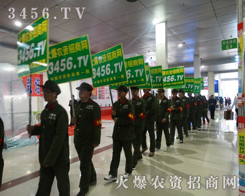 3456.TVף2015�ʝ��r�Y���A�M�ɹ���