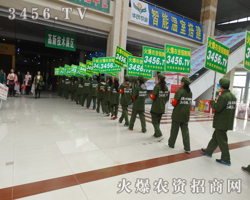 �����������Գ�����