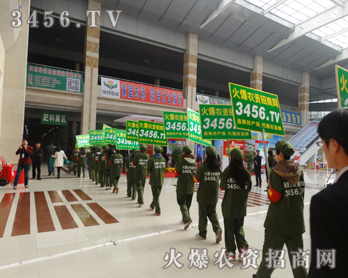 沒(méi)有十全十美,只有盡力而為