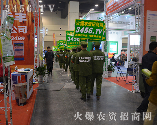 ���r(n��ng)�Y�W(w��ng)�ɹ�·�ϵ���·��