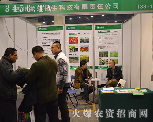 �Ĵ����������c����s��2015���ݷ��ϕ�(hu��)