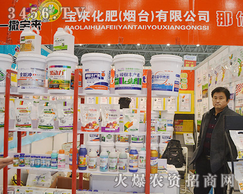 �������ʈ�(ji��n)���|(zh��)��������(w��)