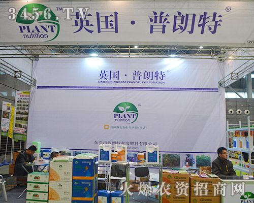 Ӣ���������c������(chu��ng)����δ��