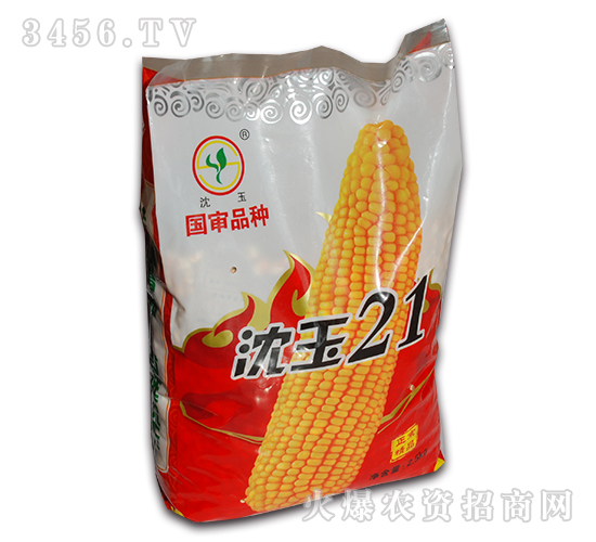 國審沈玉21-玉米種子-杜莊主