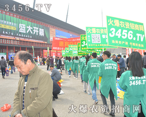 3456.TV���Լ��������C���Լ���׌�͑��Ȳ���