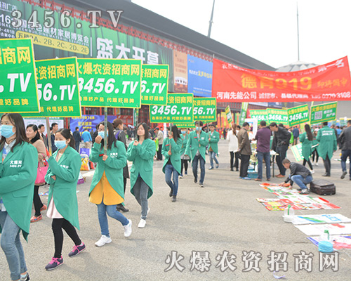 3456.TV���������҂�ʼ�K��һ��