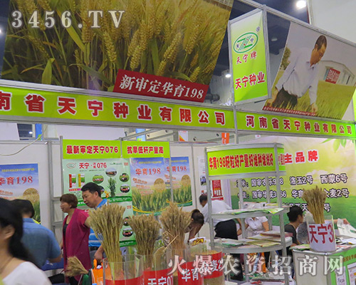 �쌎�N�I(y��)�ذ�����2016���ϷN�ӽ��ו�