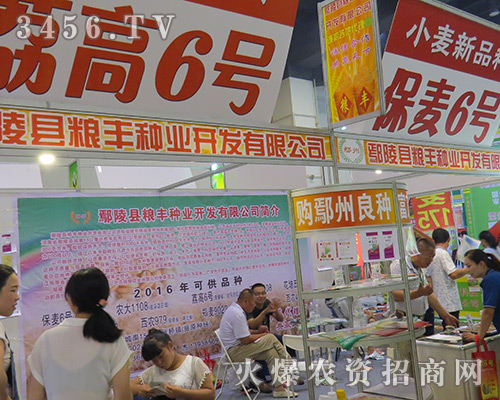 ����ʡ۳��h�Z�S�N�I(y��)2016���ϷN�ӽ��ו���¶�hâ��