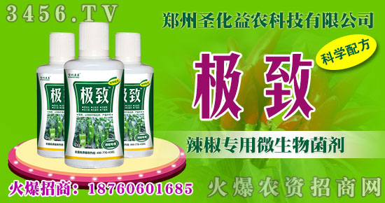 ��������΢�������--ʥ�����r(n��ng)