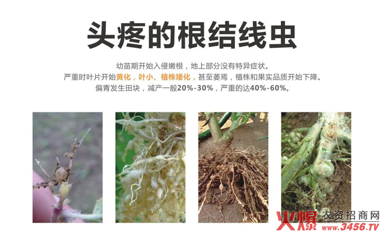 中牟僑邦植物保護(hù)有限公司