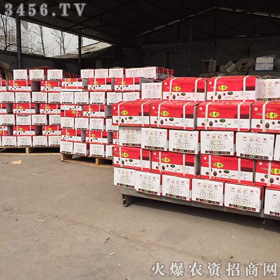 С��������̎�턩�����A(y��)����!�gӭ���Ͽ͑���늡�ǰ��ǢՄ����