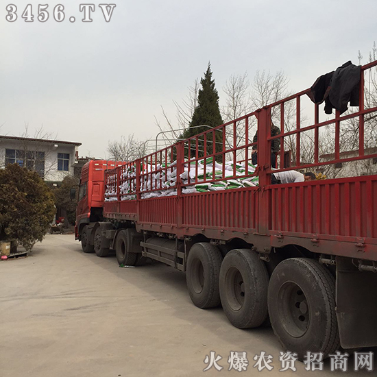 С��������̎�턩�����A(y��)����!�gӭ���Ͽ͑������ǰ��ǢՄ����