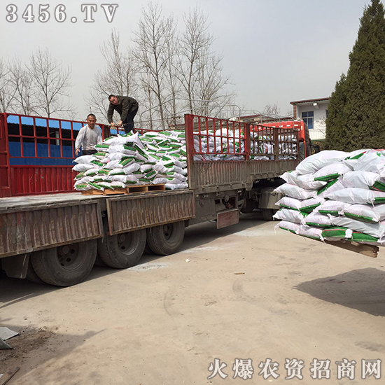 С��������̎�턩�����A(y��)����!�gӭ���Ͽ͑���늡�ǰ��ǢՄ����