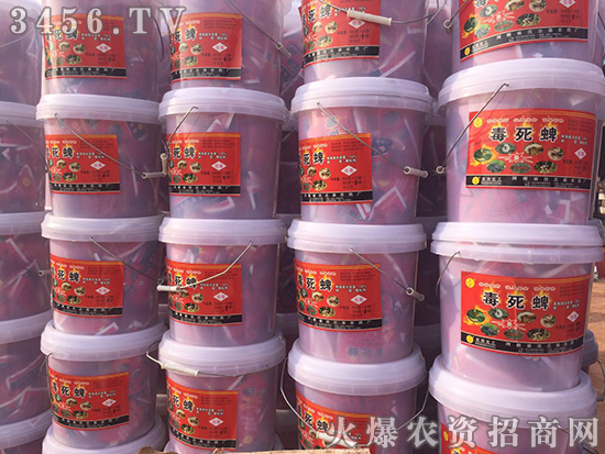 С��������̎�턩�����A(y��)����!�gӭ���Ͽ͑������ǰ��ǢՄ����