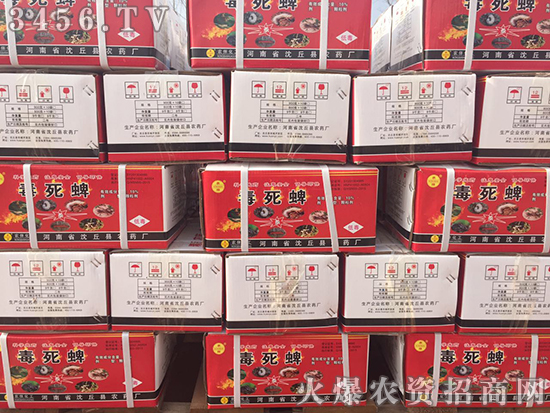 С��������̎�턩�����A(y��)����!�gӭ���Ͽ͑������ǰ��ǢՄ����