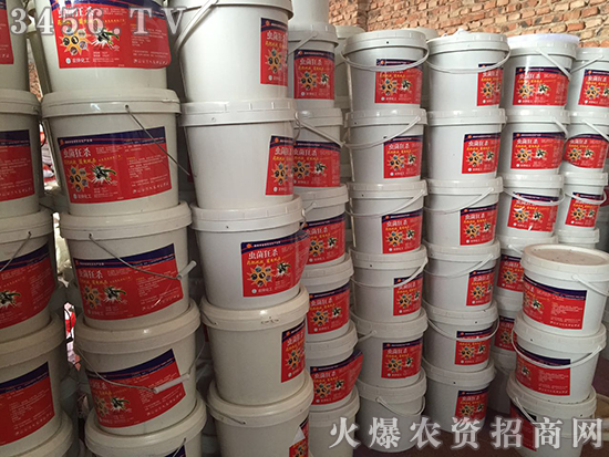 С��������̎�턩�����A(y��)����!�gӭ���Ͽ͑���늡�ǰ��ǢՄ����