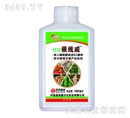 黃瓜根結(jié)線蟲嚴(yán)重怎么辦?僑邦,讓線蟲防治變得很容易!