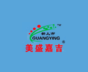 ��ʢ�μ����ʣ�������޹�˾