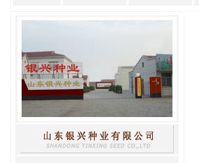 ɽ�|�y�d�N�I(y��)�ɷ����޹�˾