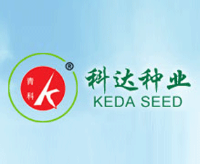 ���u��ꖿ��_�߲��о���