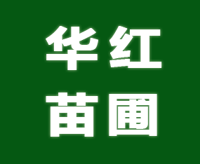 �����A�t����