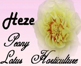 �ʝ�ĵ��ɏ������