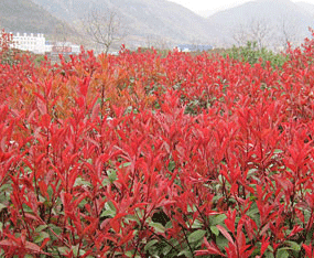 ��������@ˇ�������޹�˾