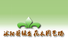 ��ꖿh�Gʢ��ľ�@ˇ��