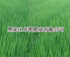 ������׿�P�ʘI(y��)���޹�˾