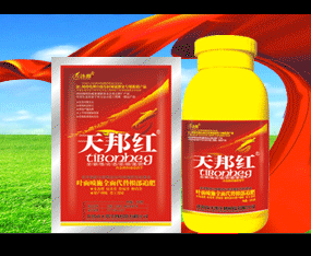 �_�����������Ƽ����޹�˾