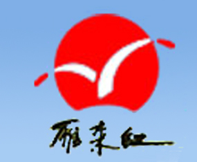 ɽ�|ʡ�I�����(l��i)�t���﹤�����޹�˾