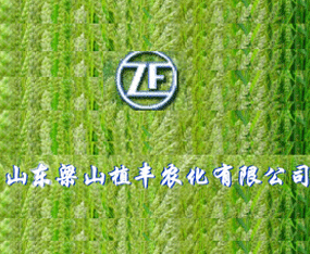 ɽ�|ֲ�S�r(n��ng)�����F(tu��n)���޹�˾����2019ȫ��ֲ����(hu��)-2019��35��ֲ����Ϣ�������r(n��ng)ˎе���ו�(hu��)