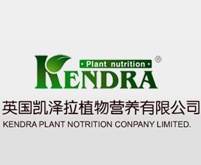 ���u�P����ֲ��I(y��ng)�B(y��ng)���޹�˾����2015�����r(n��ng)����(hu��)-2015��12�������r(n��ng)�Y���[��(hu��)