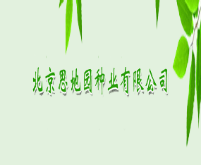 ����˼�؈@�N�I(y��)���޹�˾