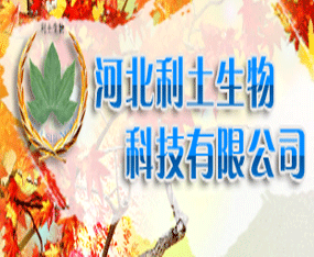 �ӱ���������Ƽ����޹�˾