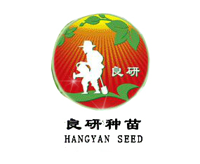 ���зN��|�½����S�r(n��ng)�I(y��)�Ƽ��l(f��)չ���޹�˾