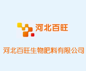 �ӱ���������������޹�˾