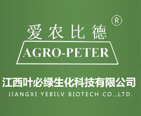 �����~�ؾG�����Ƽ����޹�˾