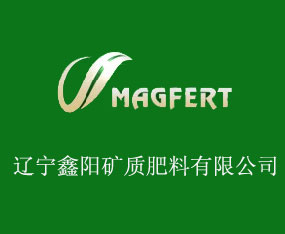 �|�����(y��ng)�V�|(zh��)�������޹�˾