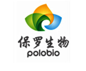 ���_����@�Ƽ��ɷ����޹�˾