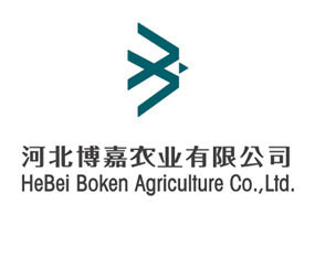 �ӱ������r�I(y��)���޹�˾