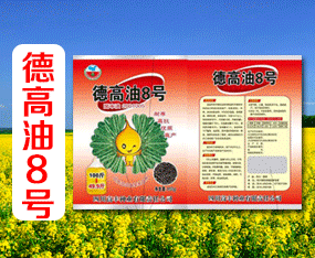 �Ĵ����S�N�I(y��)����؟(z��)�ι�˾